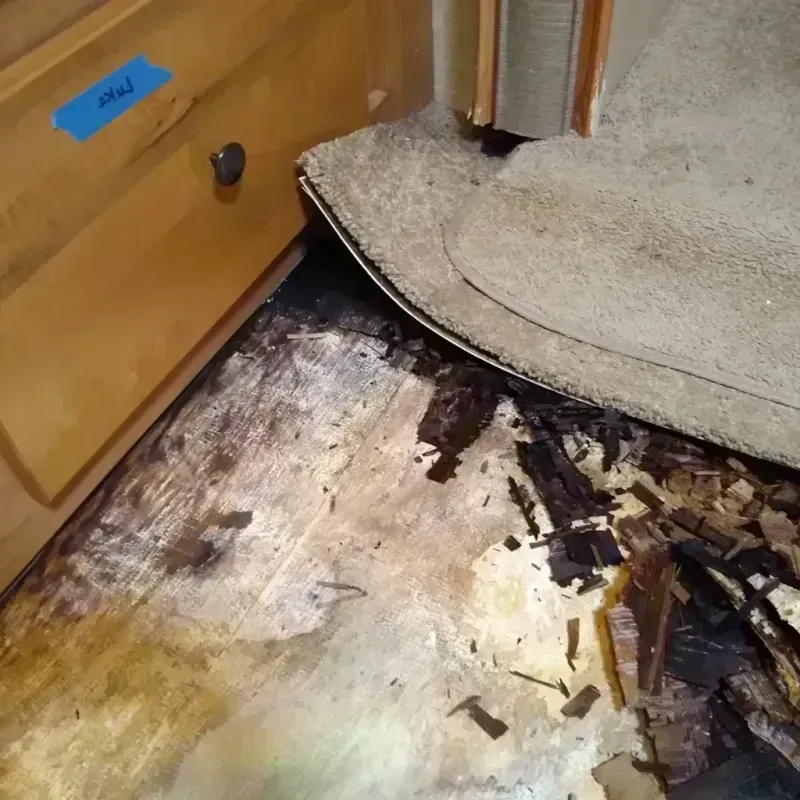 Best Wood Floor Water Damage Service in Tower Lake, IL